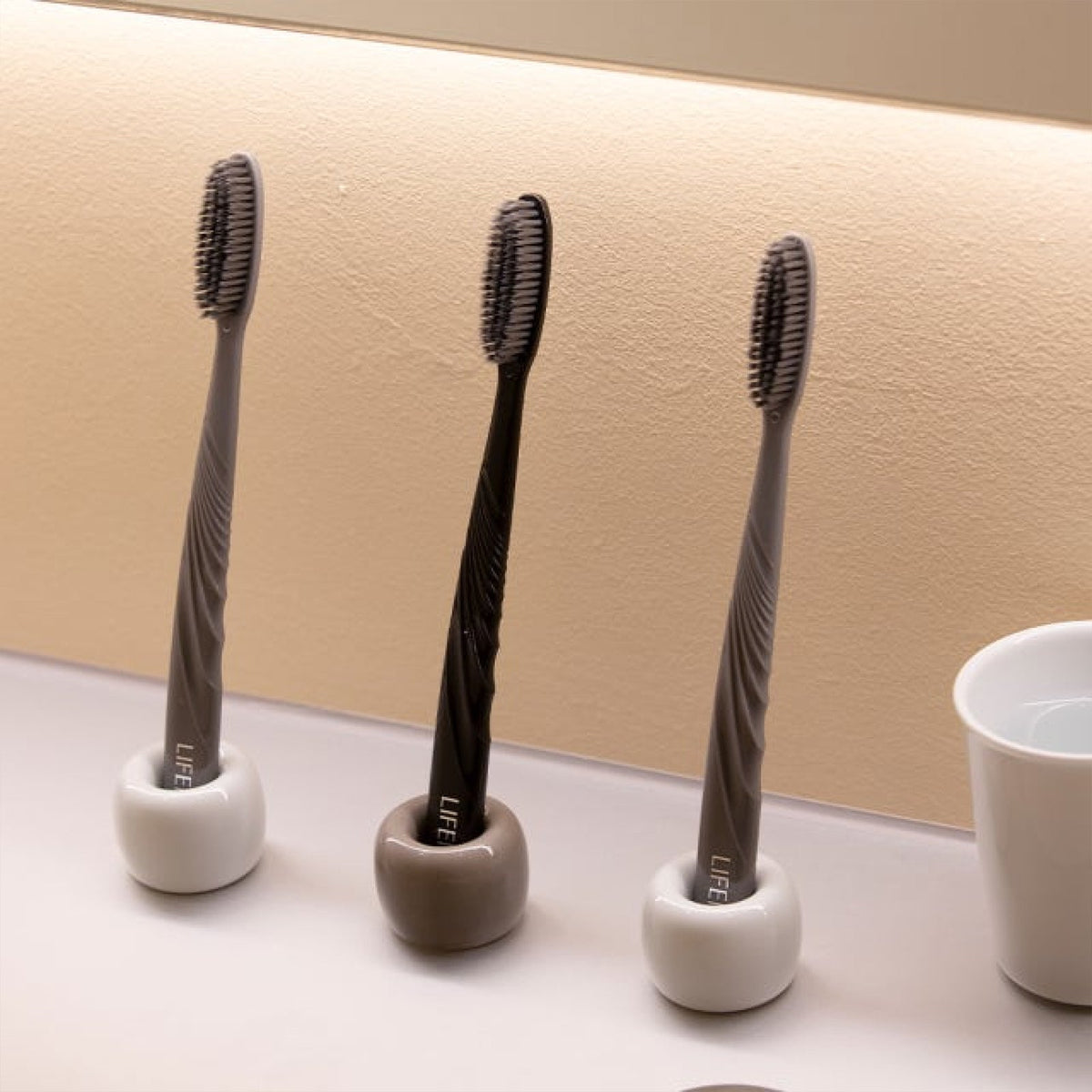 LIFENET Refreshing Toothbrush Charcoal Black (10 Pack)