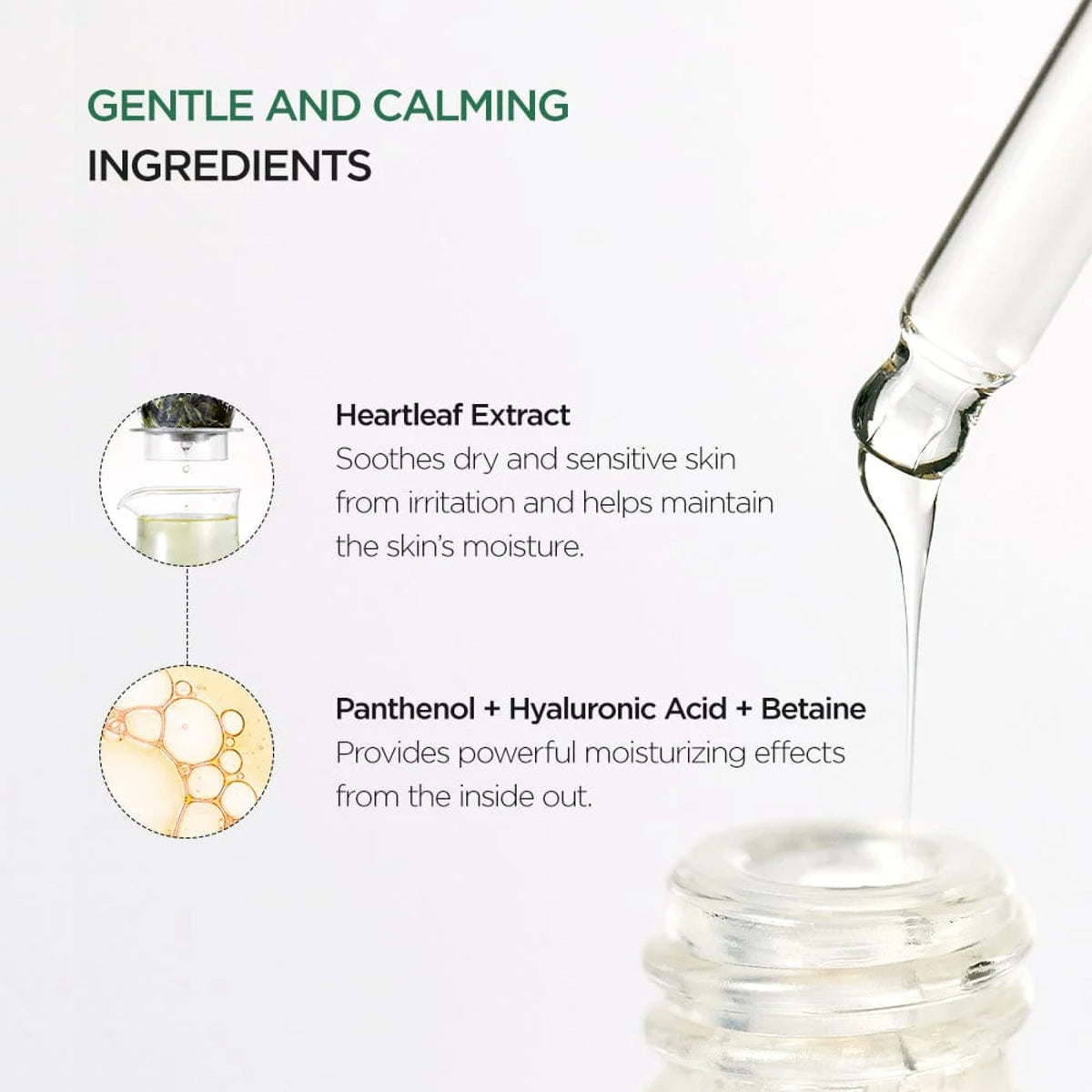 ANUA Heartleaf 80% Moisture Soothing Ampoule 30 ml