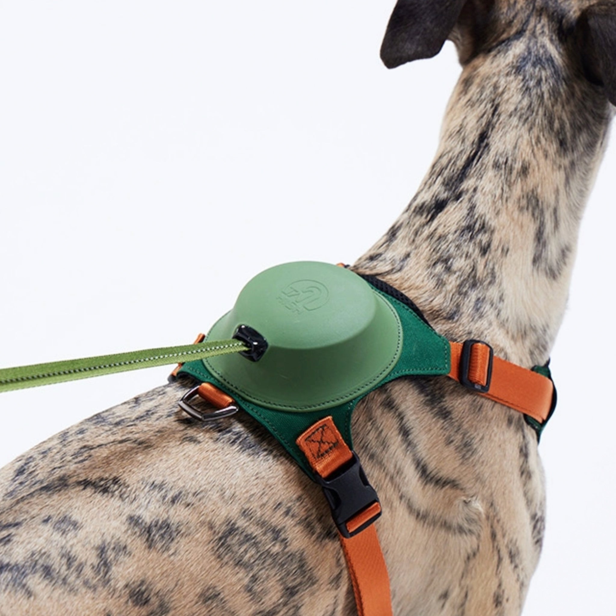 Wood Green Hound-Fit Hybrid Harness