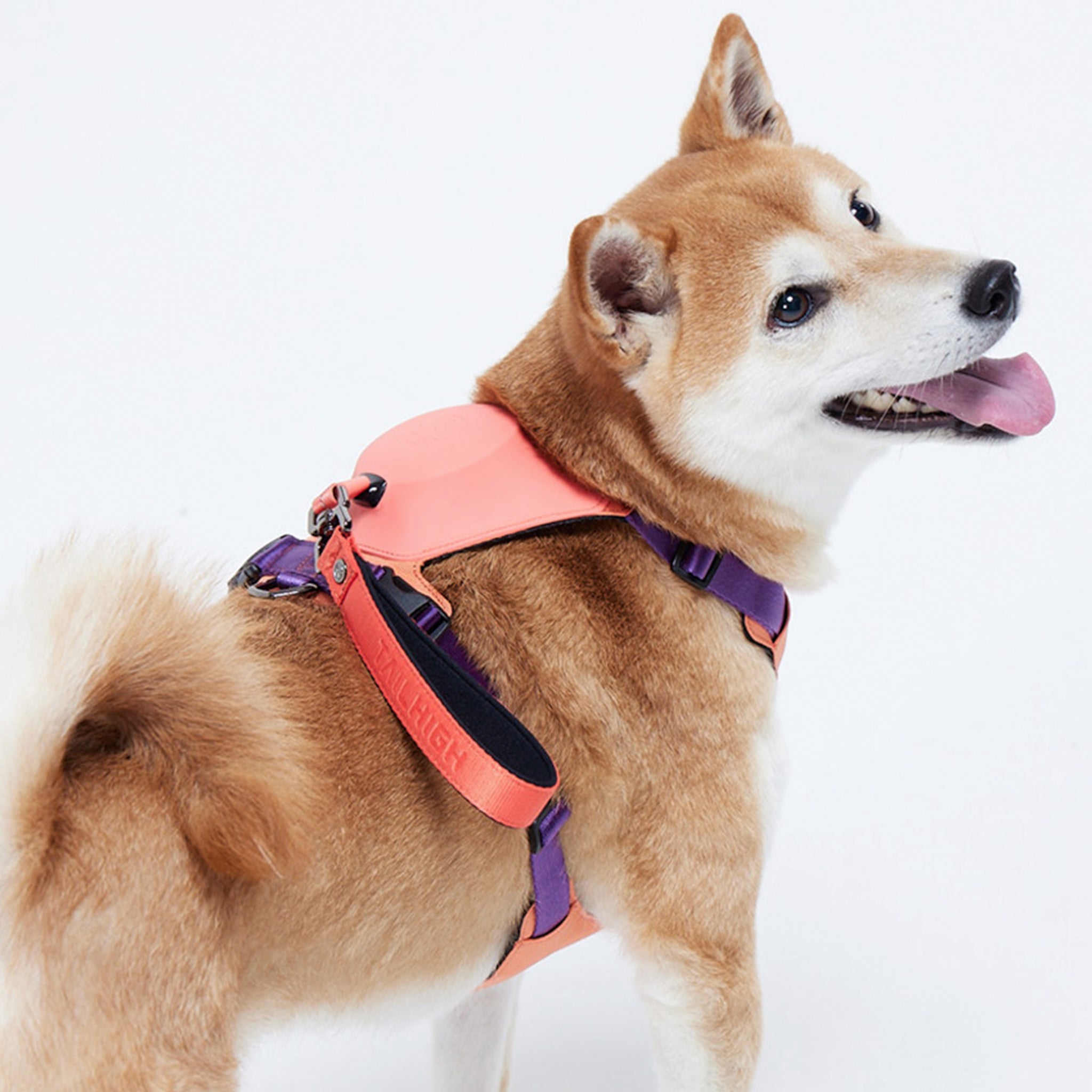 Berry Pink Hybrid Harness